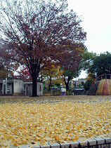 chaya006s.JPG (75764 �o�C�g)