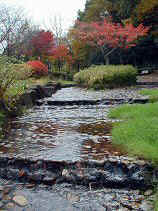 chaya009s.JPG (75315 �o�C�g)