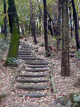 chaya014s.JPG (77485 �o�C�g)