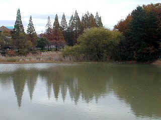 chaya023m.JPG (79627 �o�C�g)