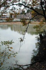 chaya028s.jpg (14582 �o�C�g)