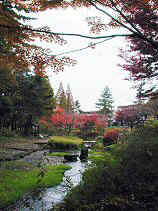 chaya052s.JPG (74842 �o�C�g)