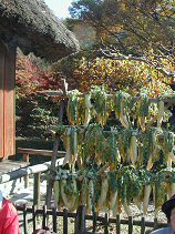 hagashiyama144s.jpg (19352 �o�C�g)