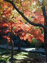 higashiyama117s.JPG (77232 �o�C�g)