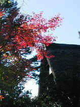 higashiyama130s.JPG (73796 �o�C�g)