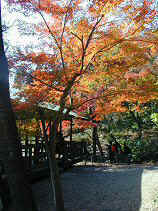 higashiyama147s.JPG (76703 �o�C�g)