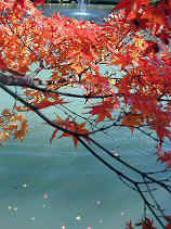 higashiyama183s.JPG (75141 �o�C�g)