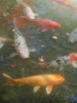 higashiyama189s.JPG (67023 �o�C�g)