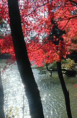 higashiyama202s.JPG (19747 �o�C�g)