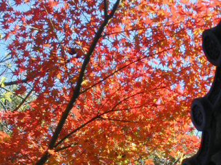 higashiyama216m.jpg (41989 �o�C�g)