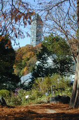 higashiyama224s.JPG (20502 �o�C�g)