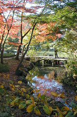 higashiyama246s.JPG (21528 �o�C�g)