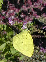 higashiyama253s.JPG (73705 �o�C�g)