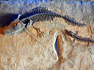 higashiyama254m.JPG (37952 �o�C�g)