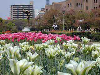 tsuruma365m.JPG (95965 �o�C�g)