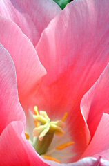 tsuruma369s.JPG (9196 �o�C�g)