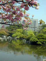 tsuruma381s.JPG (71883 �o�C�g)