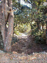 toyohashi010s.JPG (34916 �o�C�g)