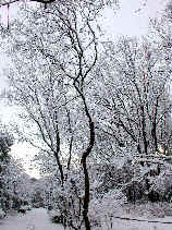 heiwa1070s.JPG (31071 �o�C�g)