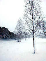 heiwa1081s.JPG (19517 �o�C�g)