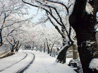 heiwa1099m.JPG (46090 �o�C�g)