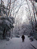 heiwa1113s.JPG (29435 �o�C�g)