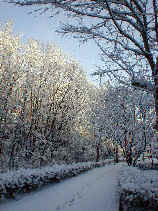 heiwa1116s.JPG (28435 �o�C�g)