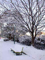 heiwa1118s.JPG (31560 �o�C�g)