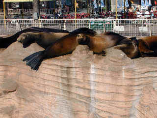 ashika1190m.JPG (39577 �o�C�g)