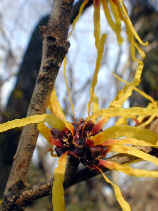 mansaku1237s.JPG (24707 �o�C�g)