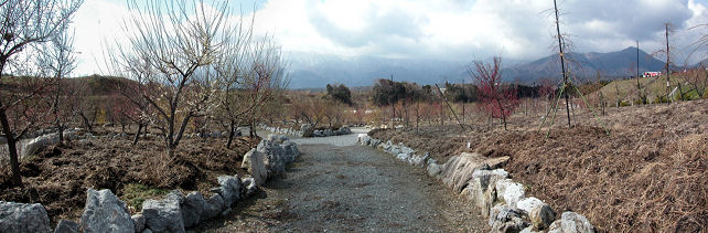 ���J�ɂ͂܂�����