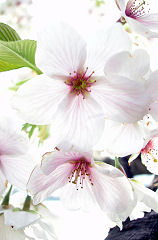 �������܂�����