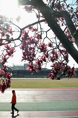 ���䗤�㋣�Z��