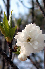 ���Ԃ�������