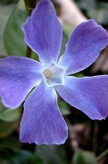 �ɂ��ɂ�����