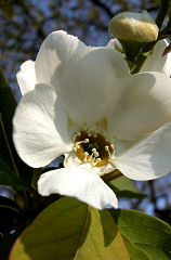 �肫�イ�΂�