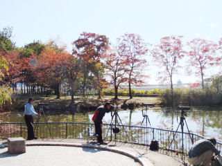 �r�̏�̏��}�Ɂu�J���Z�~�v���Ƃ܂�u�Ԃ�҂�