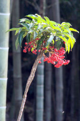 �}�������E