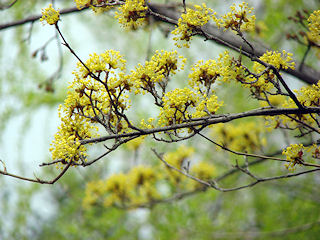 �T���V����