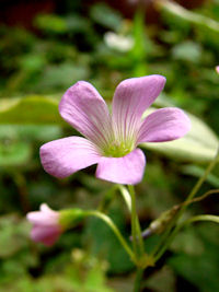 �����T�L�J�^�o�~