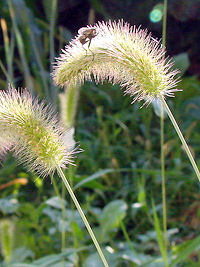 �G�m�R���O�T