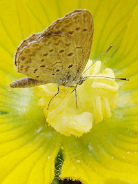 �����Ȃ������炱�����瓮���Ȃ�