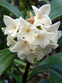 �W���`���E�Q��