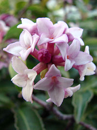 �����ԁ@��