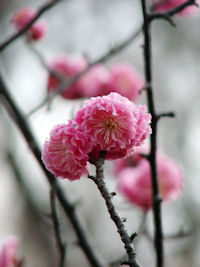 �g�~�i���d�j