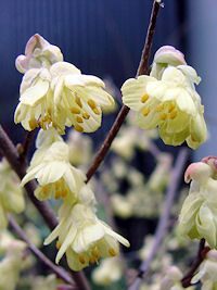 �q���E�K�~�Y�L