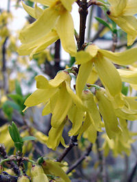 �����M���E