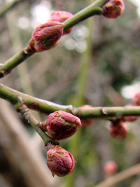 �~�������炫����