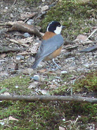 ���}�K��