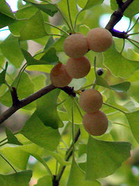 �M���i��